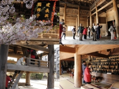 寺ネットサンガの遠足~鎌倉円覚寺~建長寺へ 寺ネットサンガの遠足~鎌倉円覚寺~建長寺へ