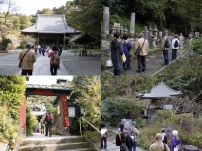 寺ネットサンガの遠足~鎌倉2日蓮聖人の足跡 日蓮宗本山 比企谷妙本寺 寺ネットサンガの遠足~鎌倉2日蓮聖人の足跡 日蓮宗本山 比企谷妙本寺