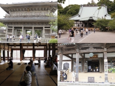 サンガの遠足~鎌倉part3材木座海岸から光明寺へ サンガの遠足~鎌倉part3材木座海岸から光明寺へ
