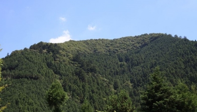 お寺と100年後の未来お寺で考える遠くの森と近くの山 お寺と100年後の未来お寺で考える遠くの森と近くの山
