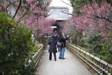 「歩いて終活　寺町ウォーキング」(後編)
