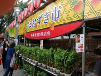 サンガのお茶会　in神楽坂
