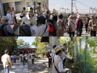 サンガの遠足～多摩川台古墳群と等々力渓谷
